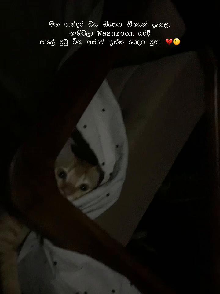 @Erandi Peiris