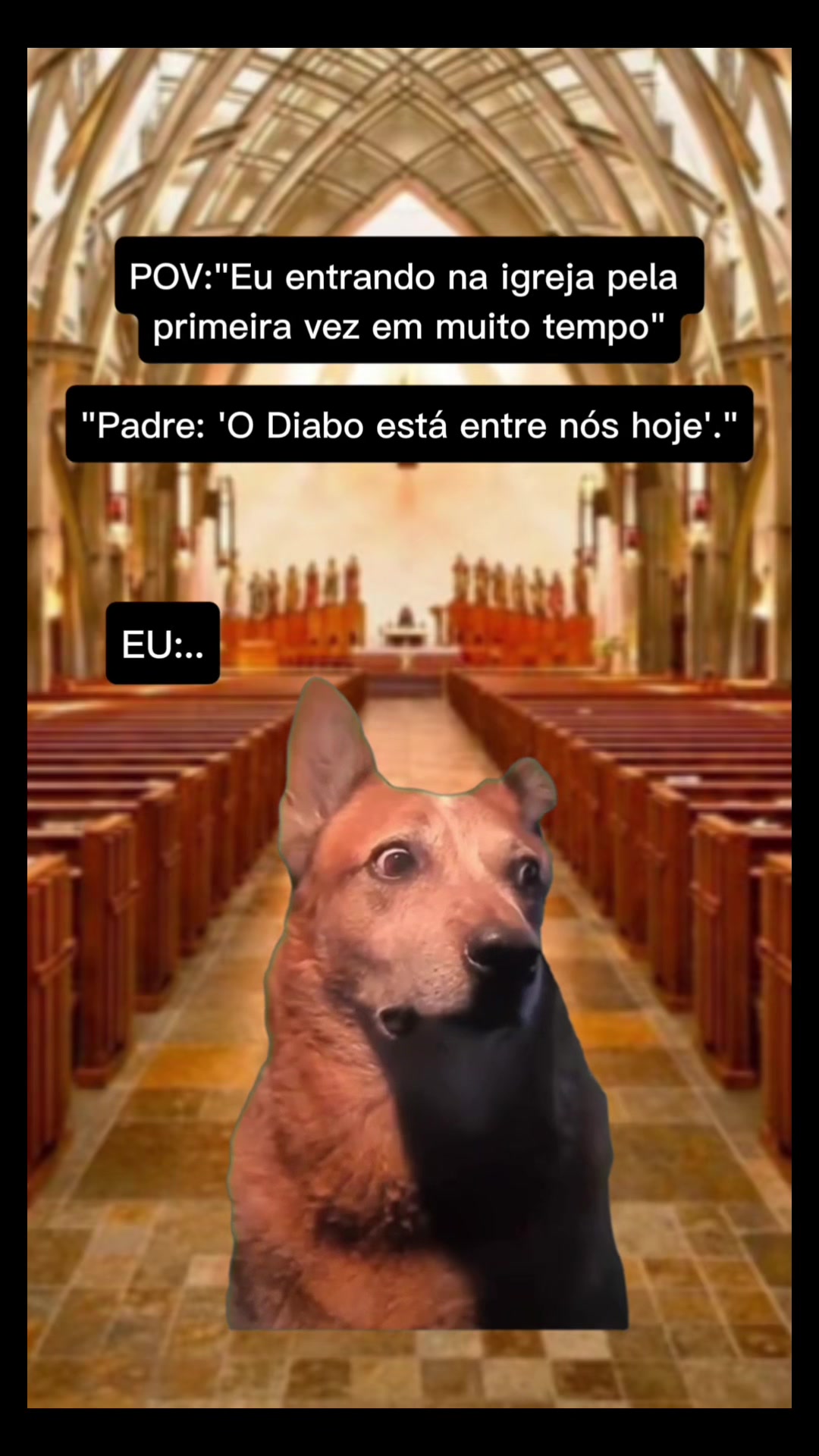 @Garimpei pra você
