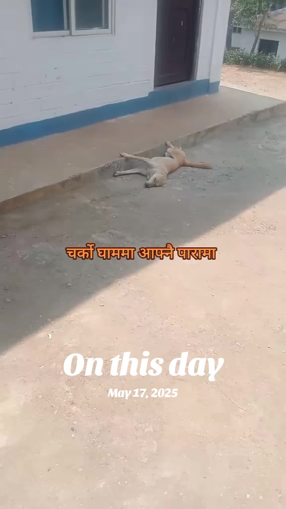 @बिन्दास
