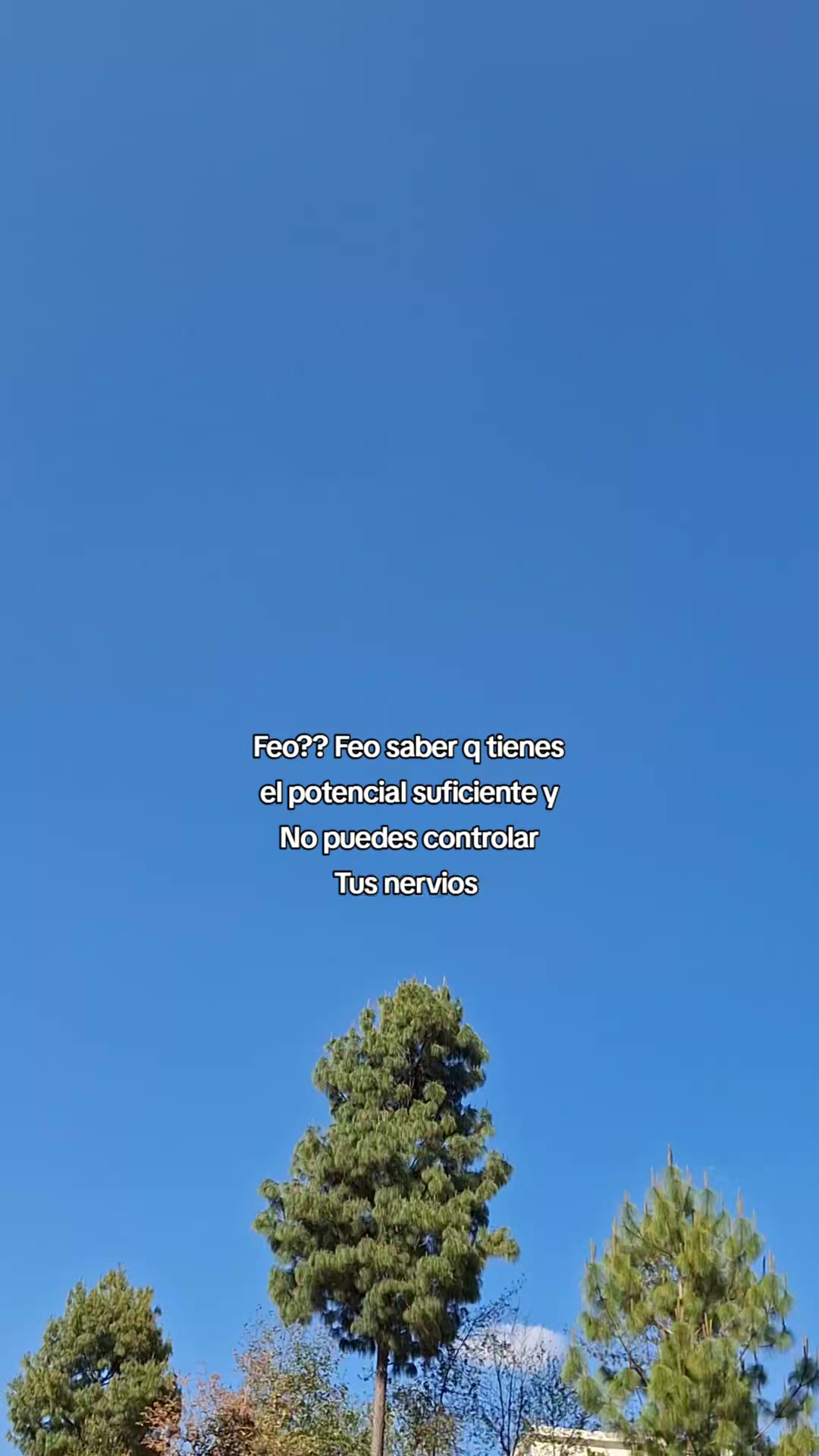 @🧸José Angel 🧸❤️🩹🥀