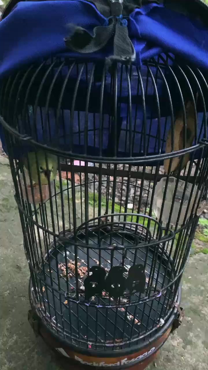 @Plat_R
