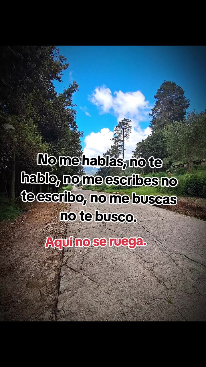 @Paola Lp