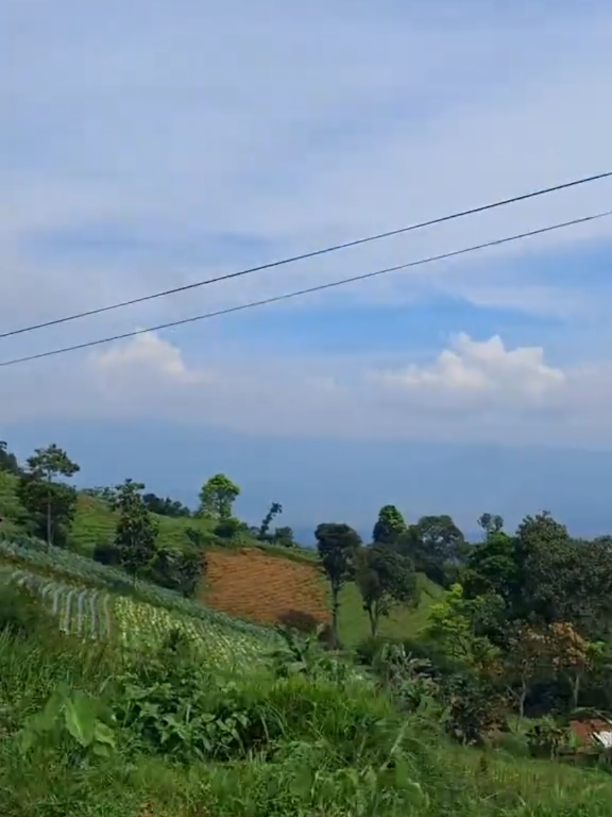 @Basajan