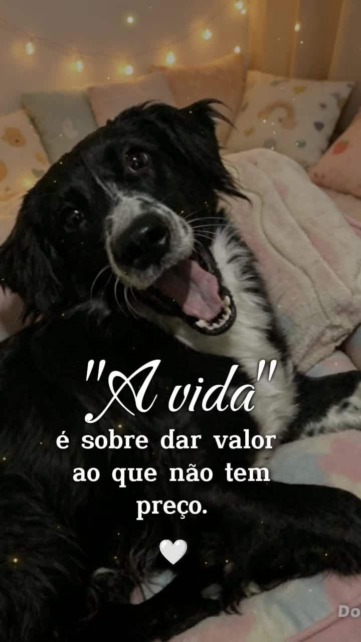 @Meirinha Teles
