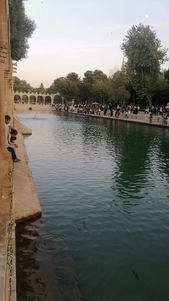 @Muhsin33
