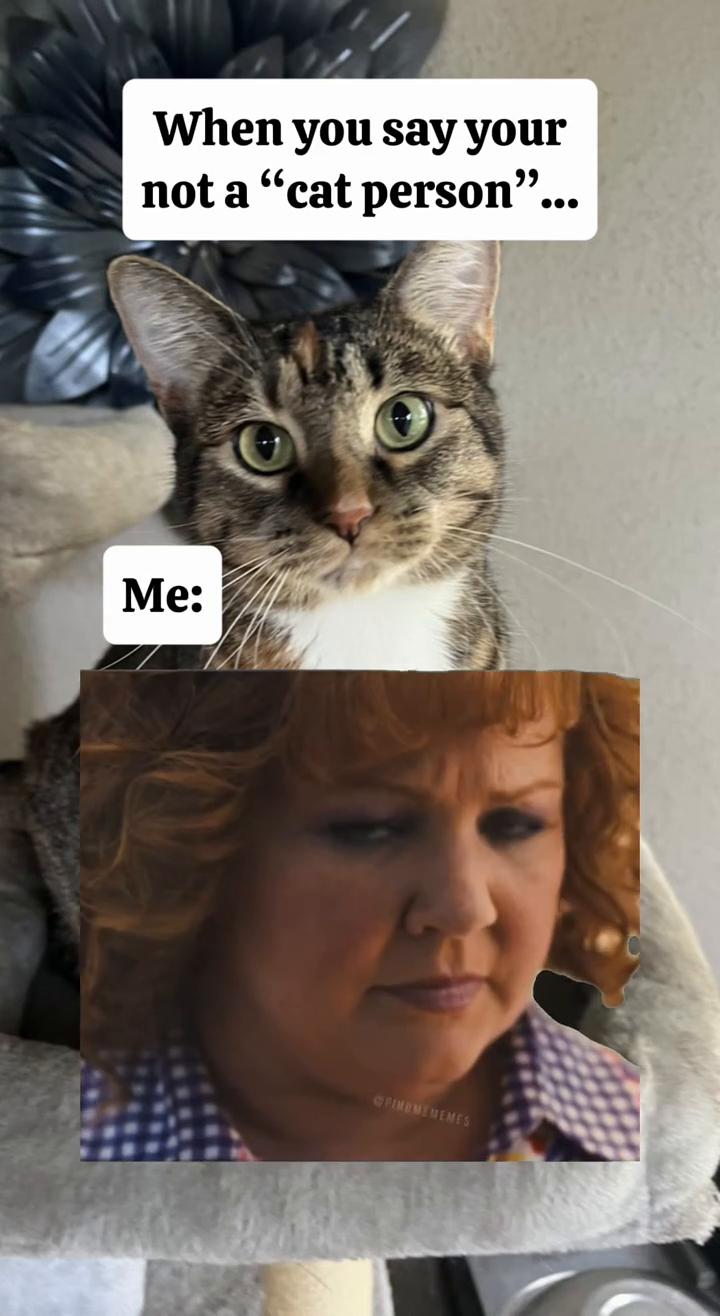 @🐾 Tracy & Katie 🐾