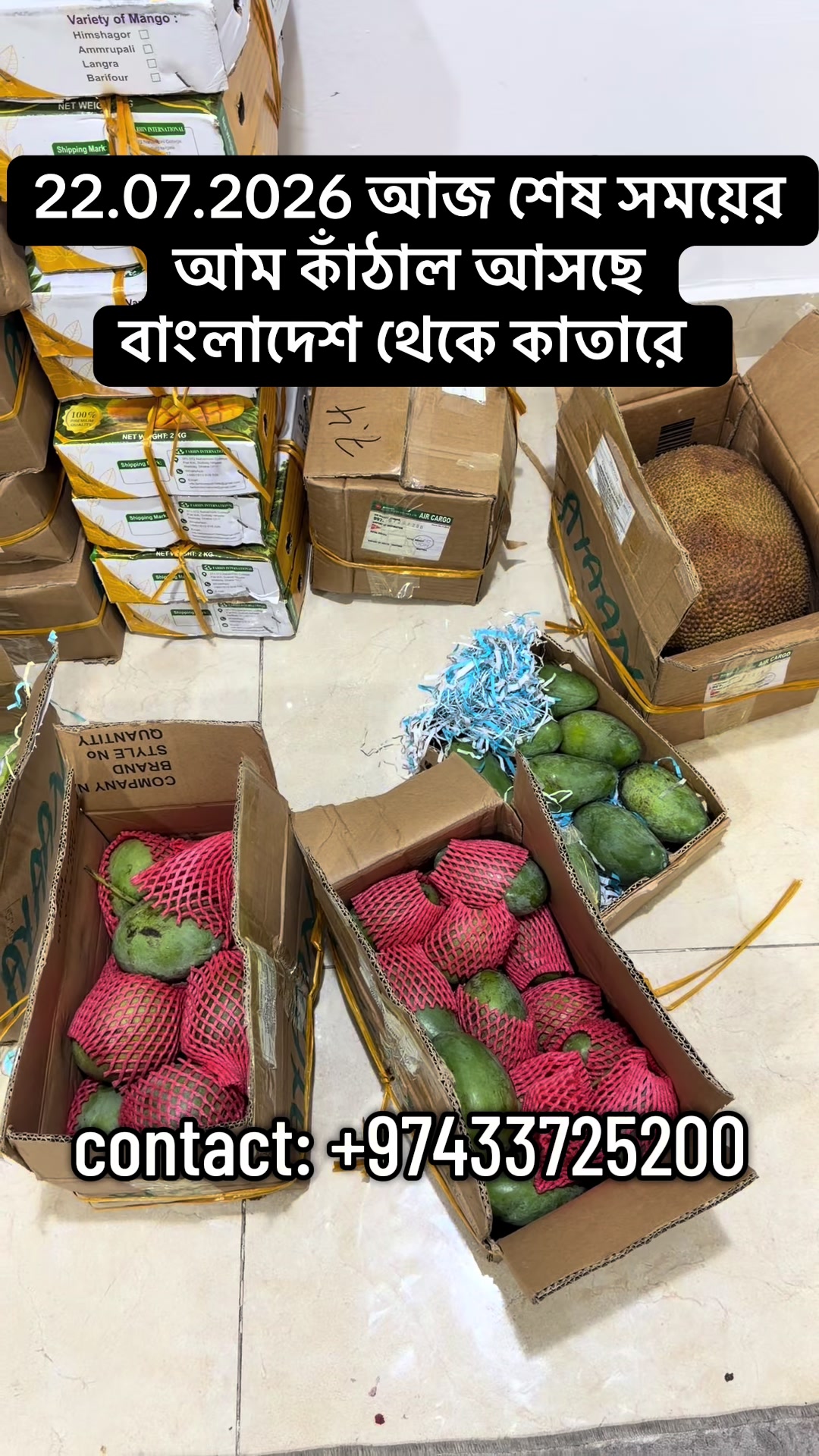@Ferdous Jannat