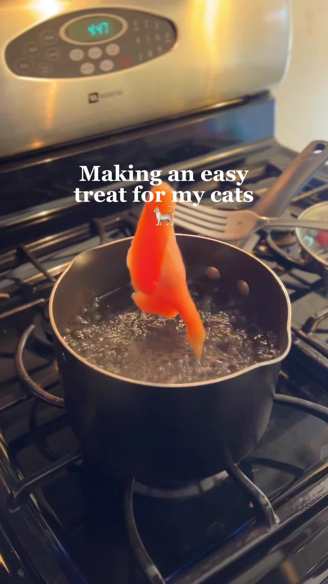 @happyhousecat