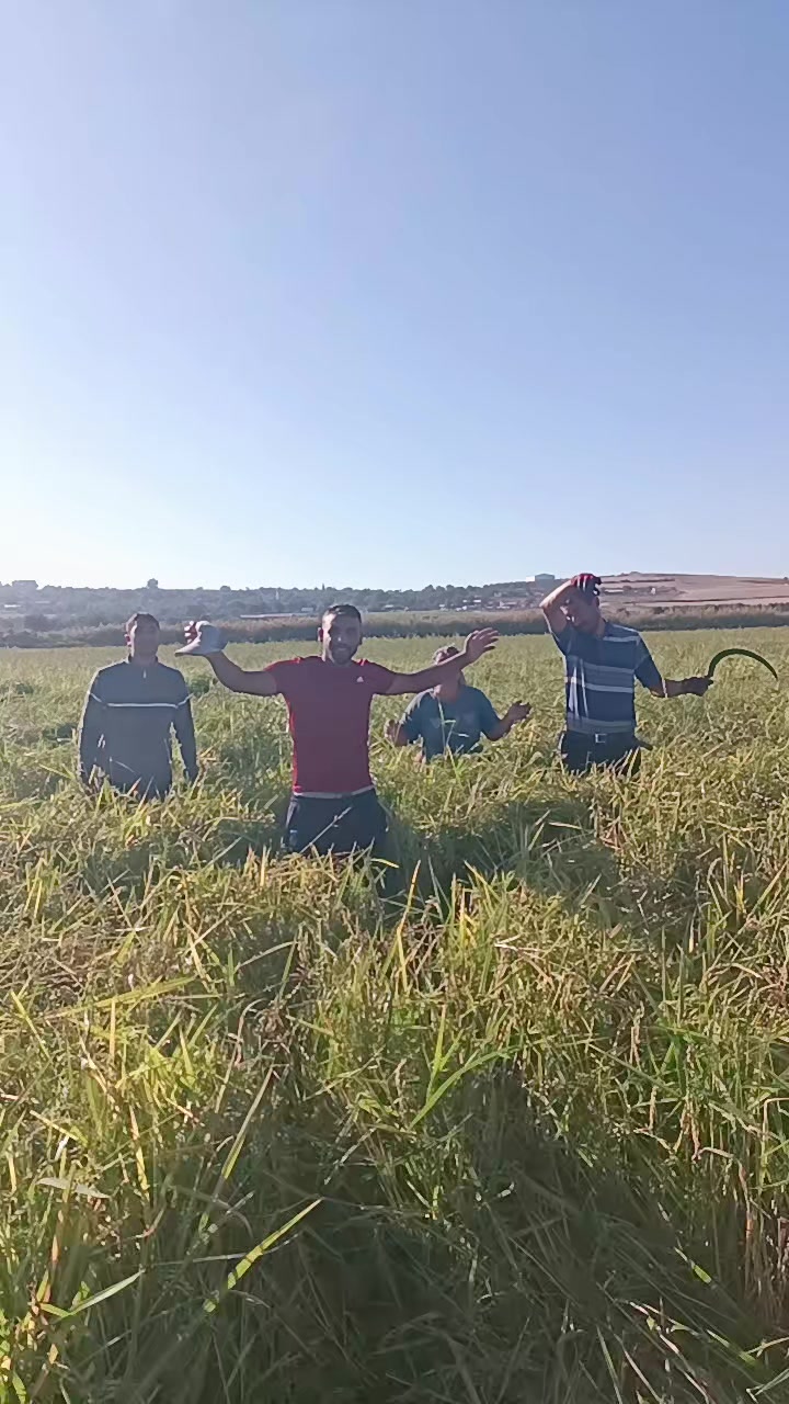 @Diriliş Ertuğrul