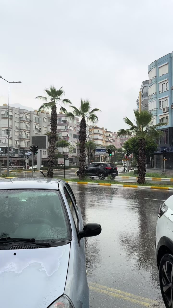 @arri🍍| 🇹🇷 guide