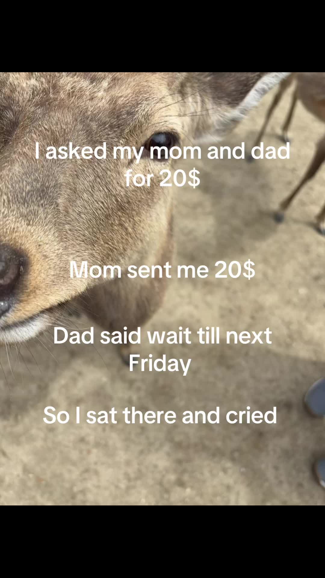 @𝔂𝓸𝓢𝓣𝓐𝓑𝓛𝓔