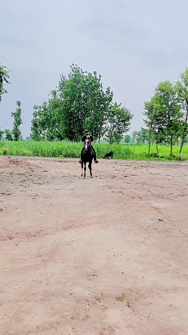 @مرزا قزل