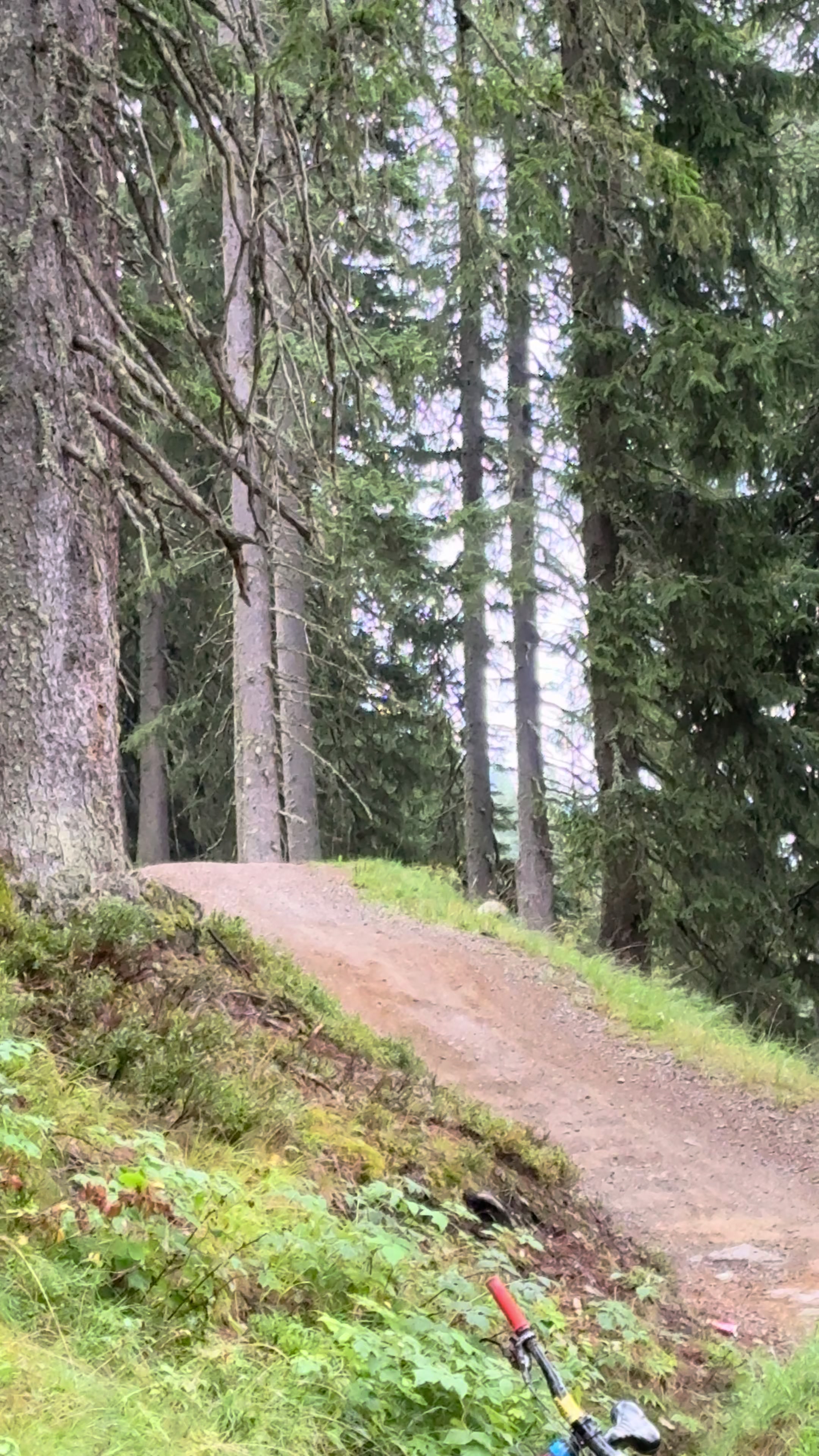 @Vitus.Freeride