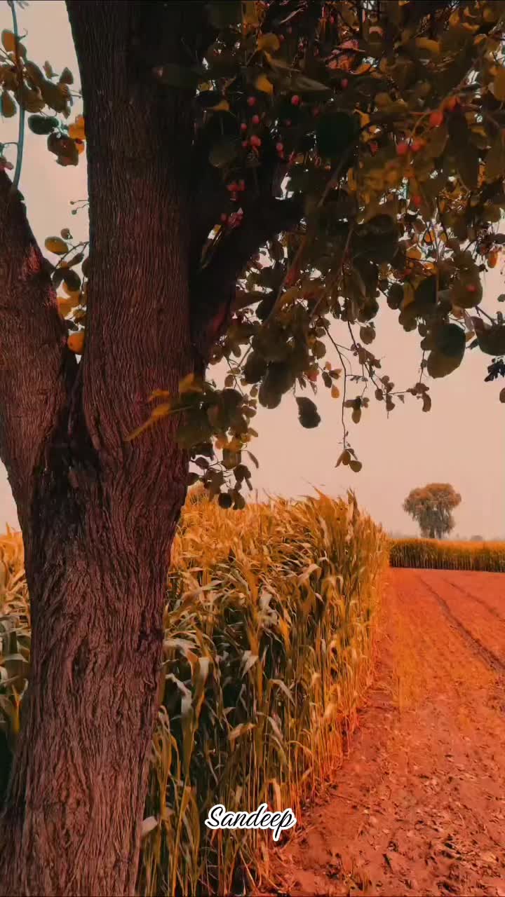 @Sdeep_2022