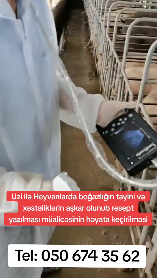 @Veterinar Dr.Firdovsi | Baytar