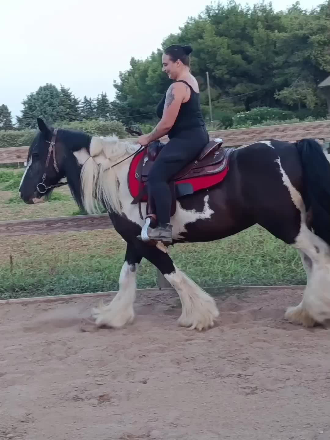 @GypsyHorse