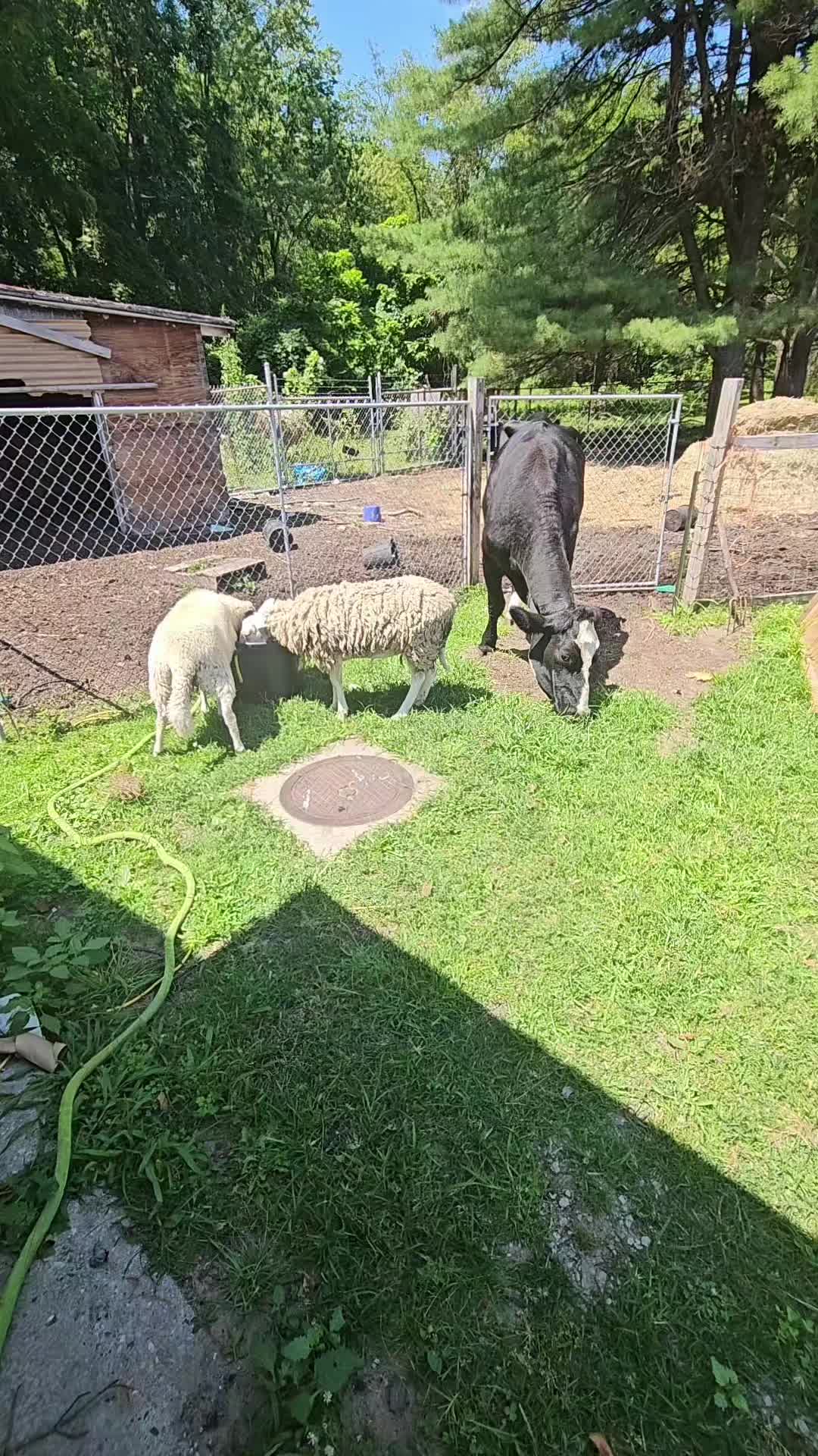 @SmallfarmBigDreams