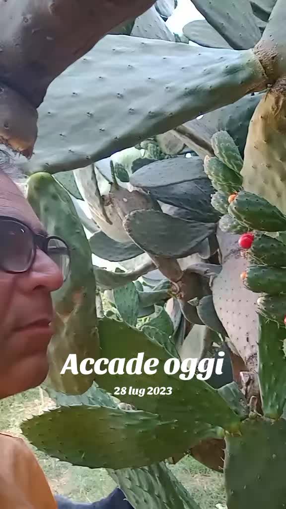 @massimomirenzio