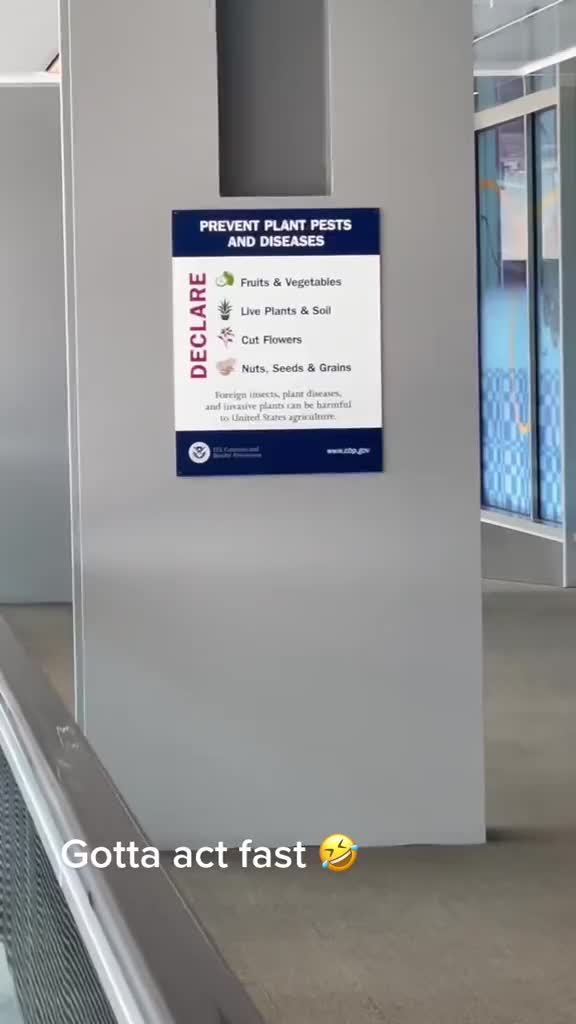 @Sophia