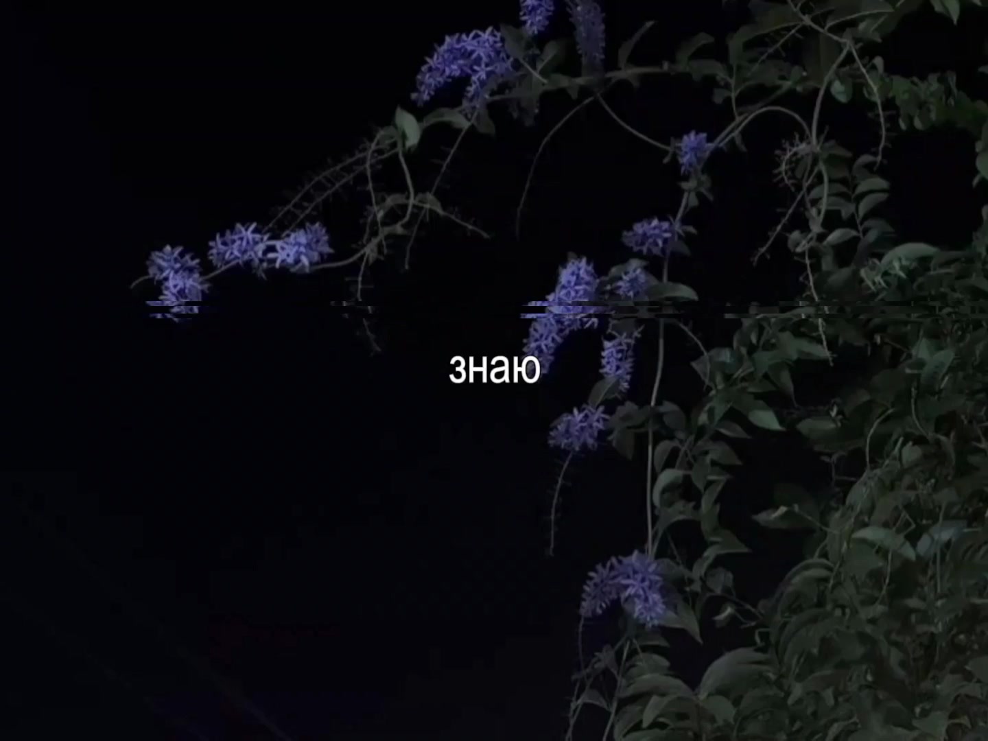 @музыка для липсингов