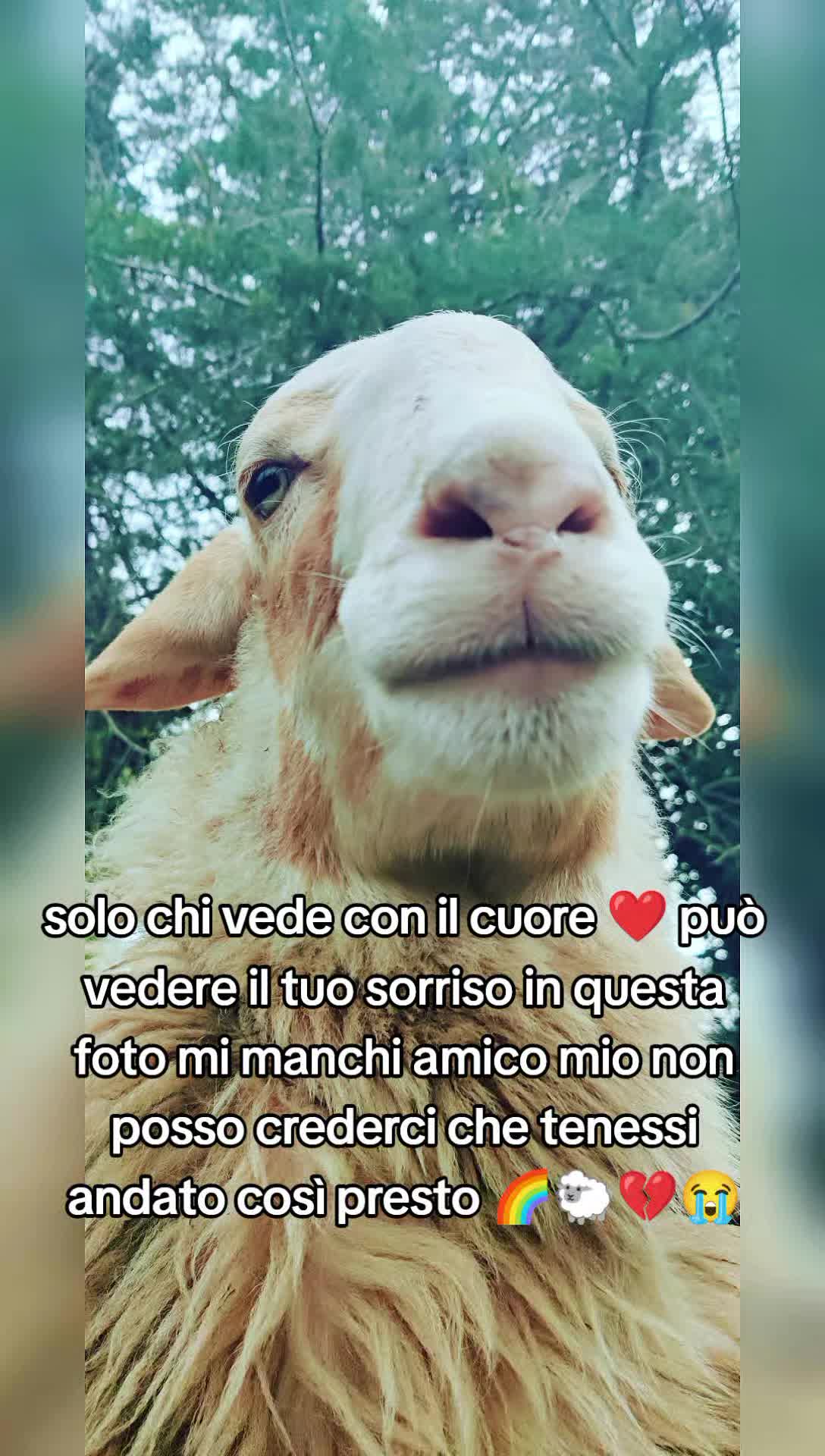 @matildelaurent14