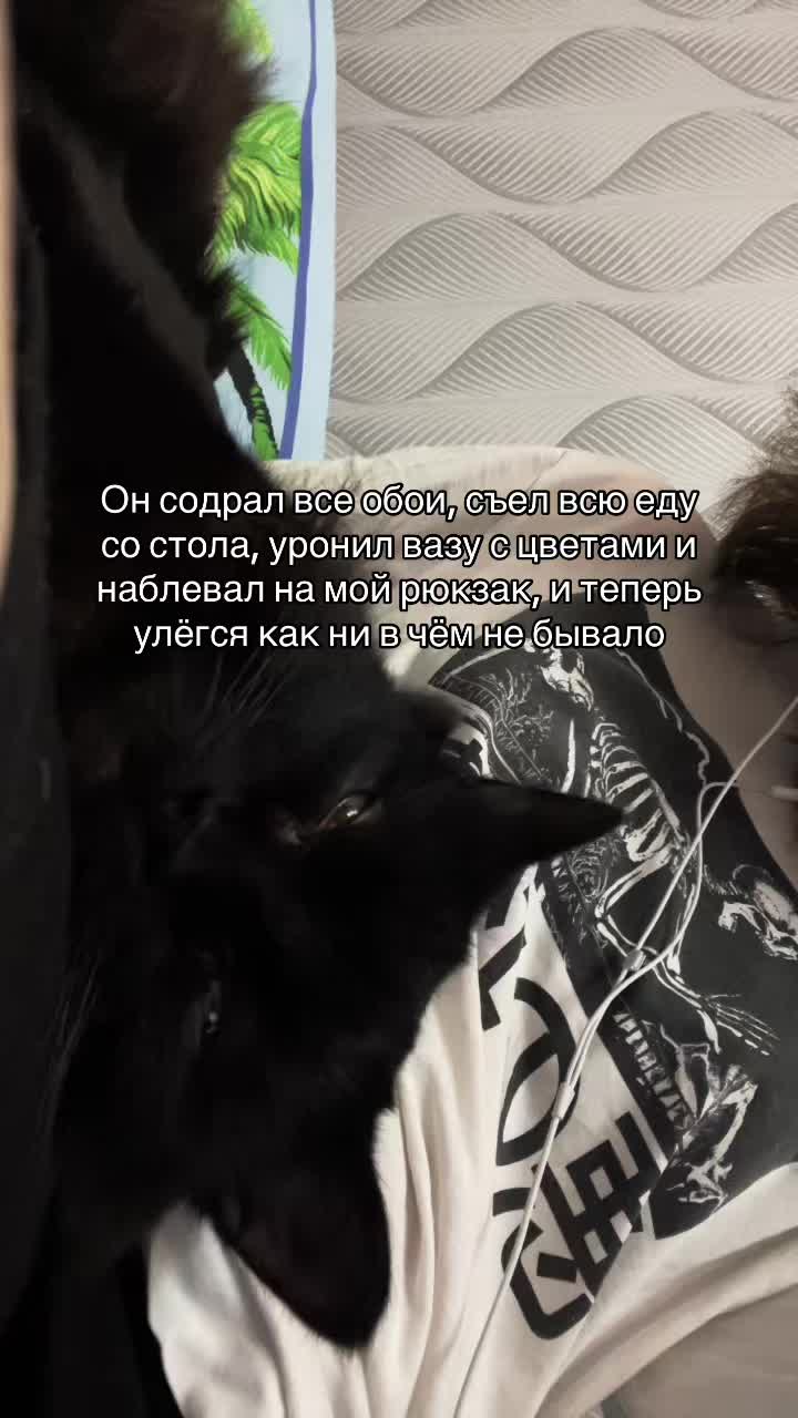 @Sleepy01