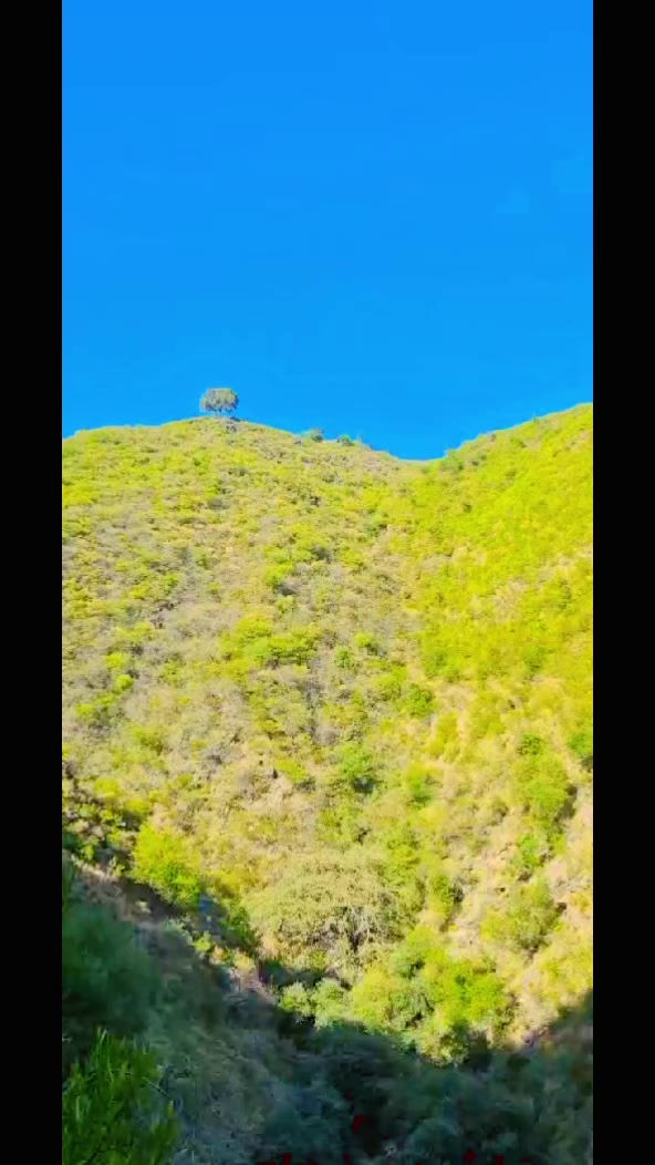 @Zk Zohaib Khan 886🦋
