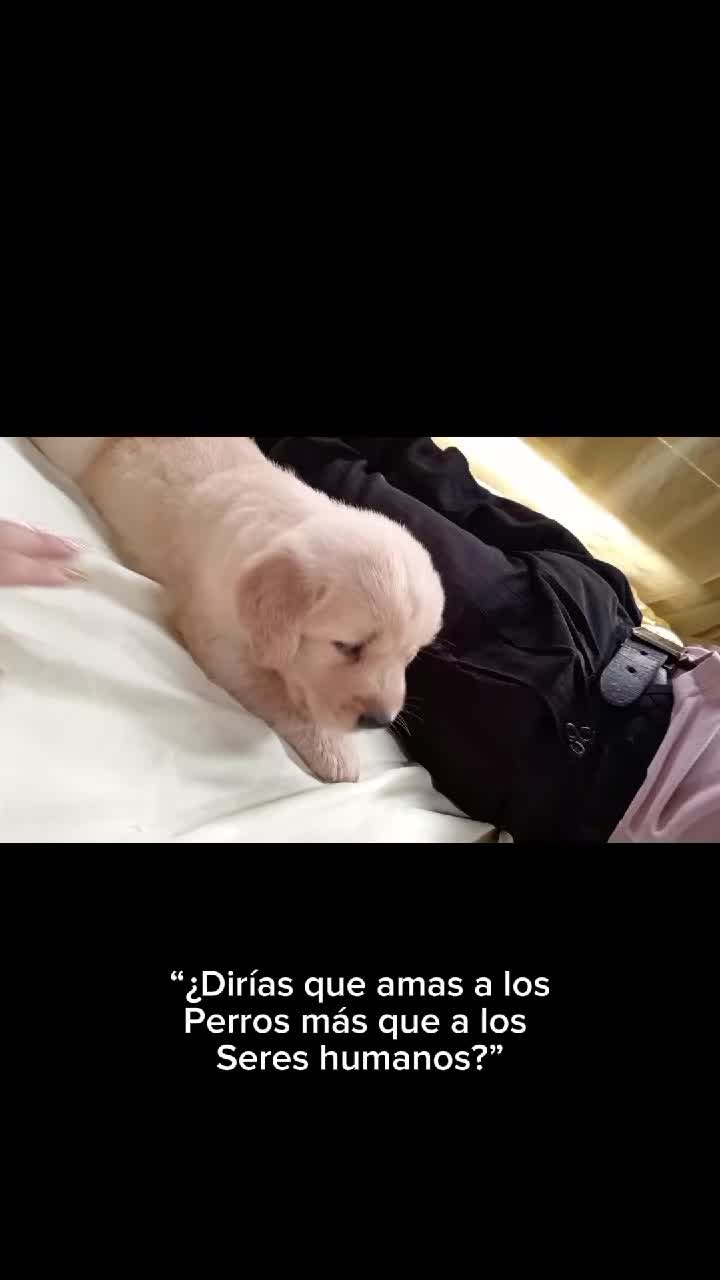 @SELI