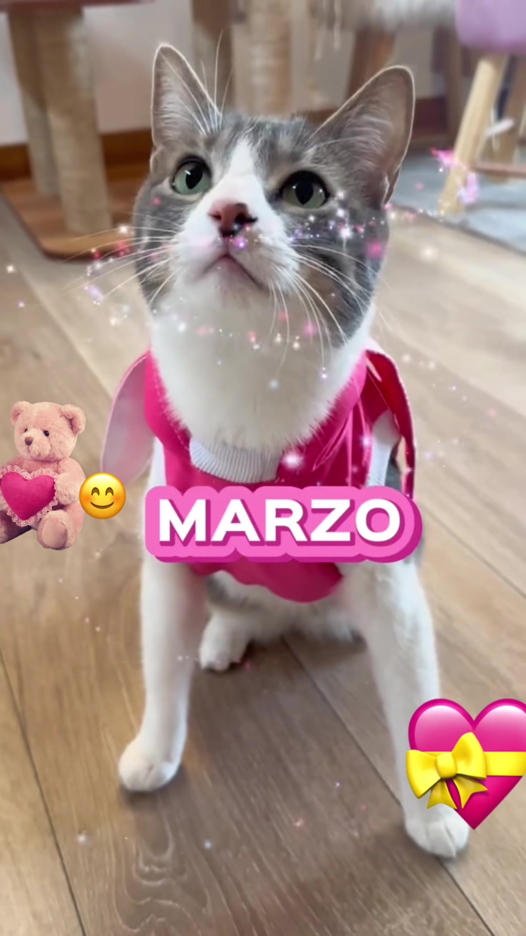 @🎀🧸💕💝Celia💝💕🧸🎀