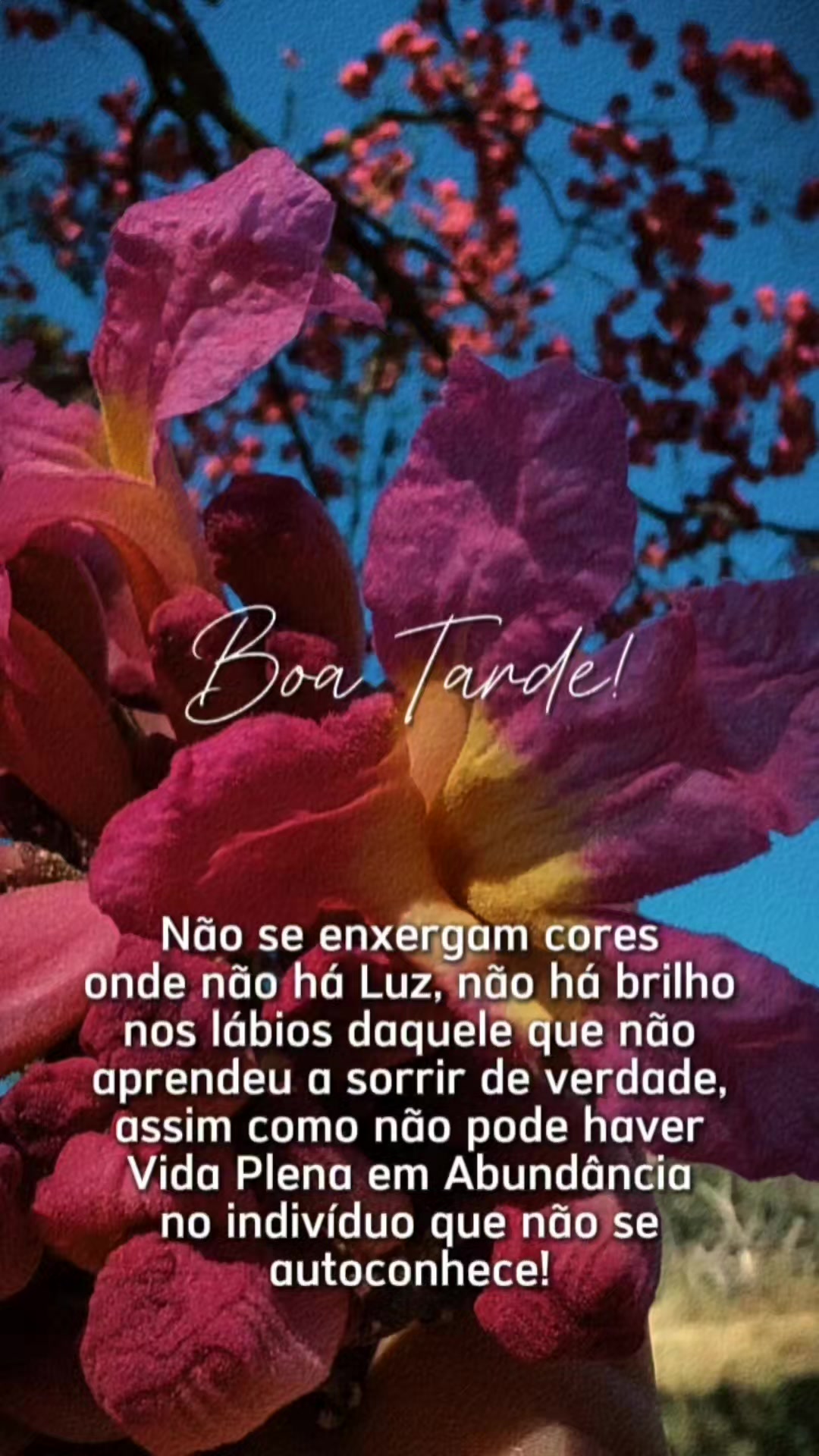 @Consciência Universal