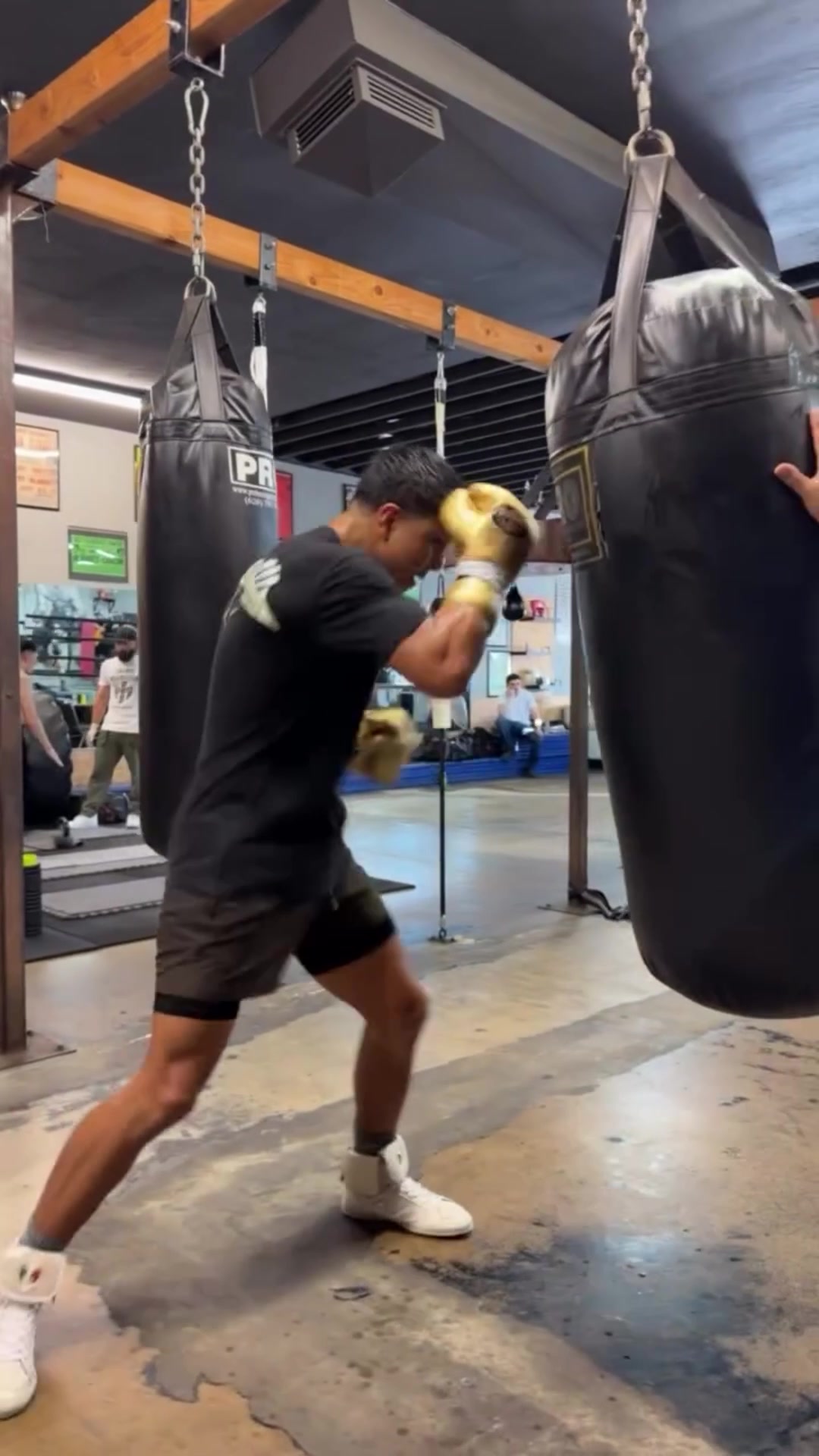 @Boxeo Inmortales