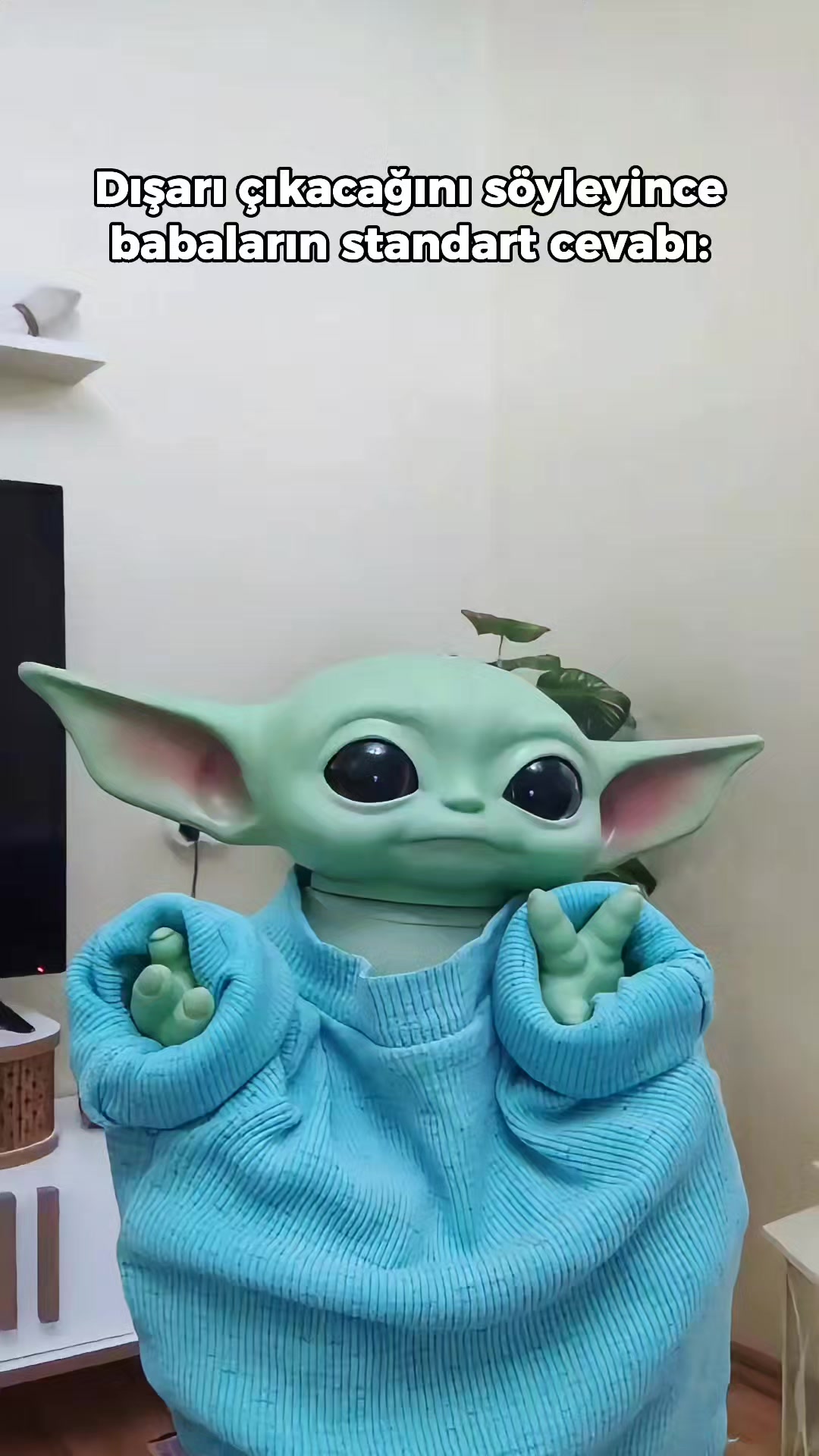 @Bebiş Yoda