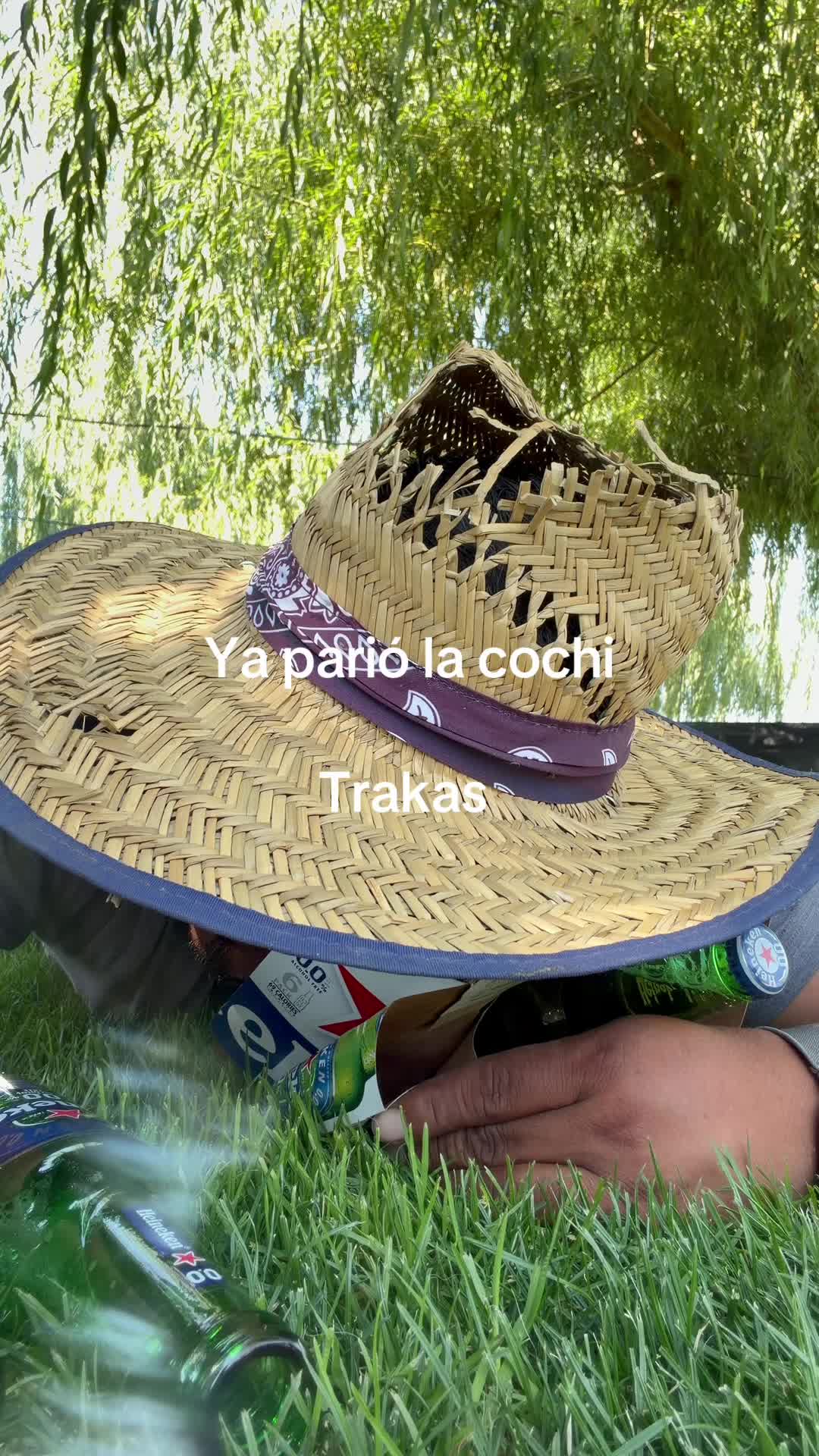 @Bocho y más