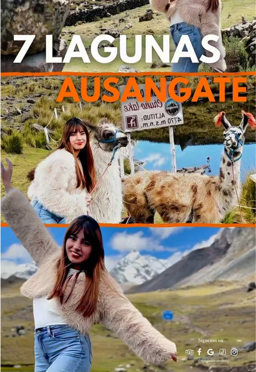 @Llamitas Travel Agency