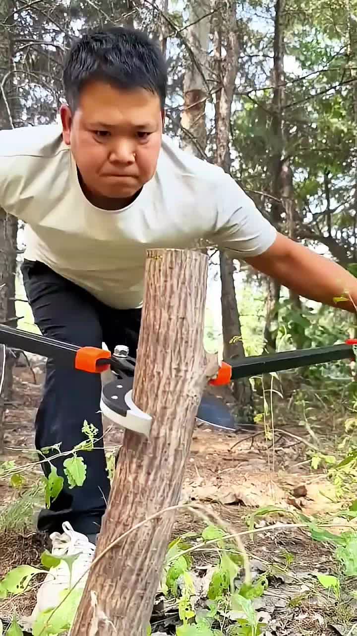 @◉‿◉