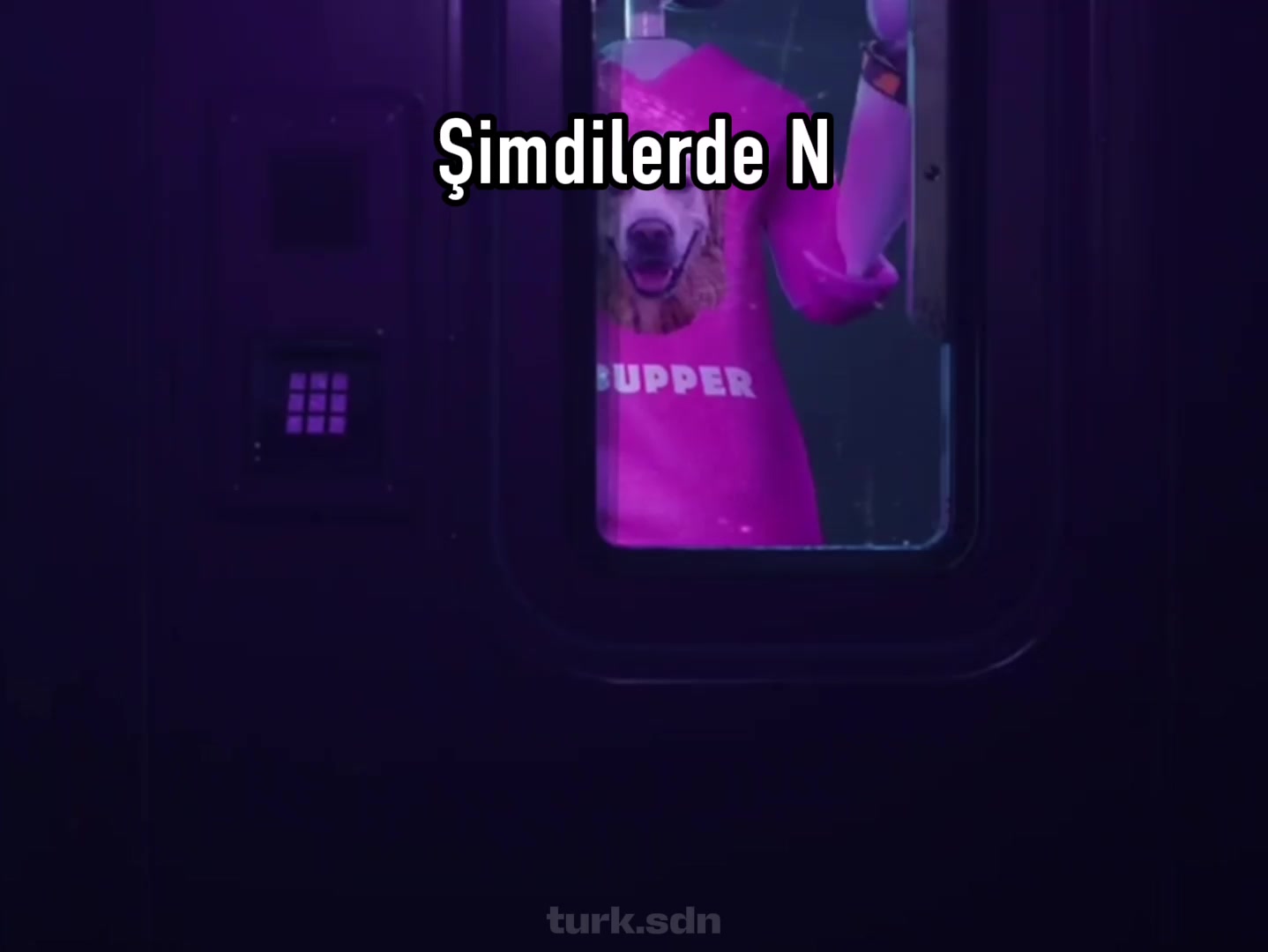 @Nord/Türk SDN