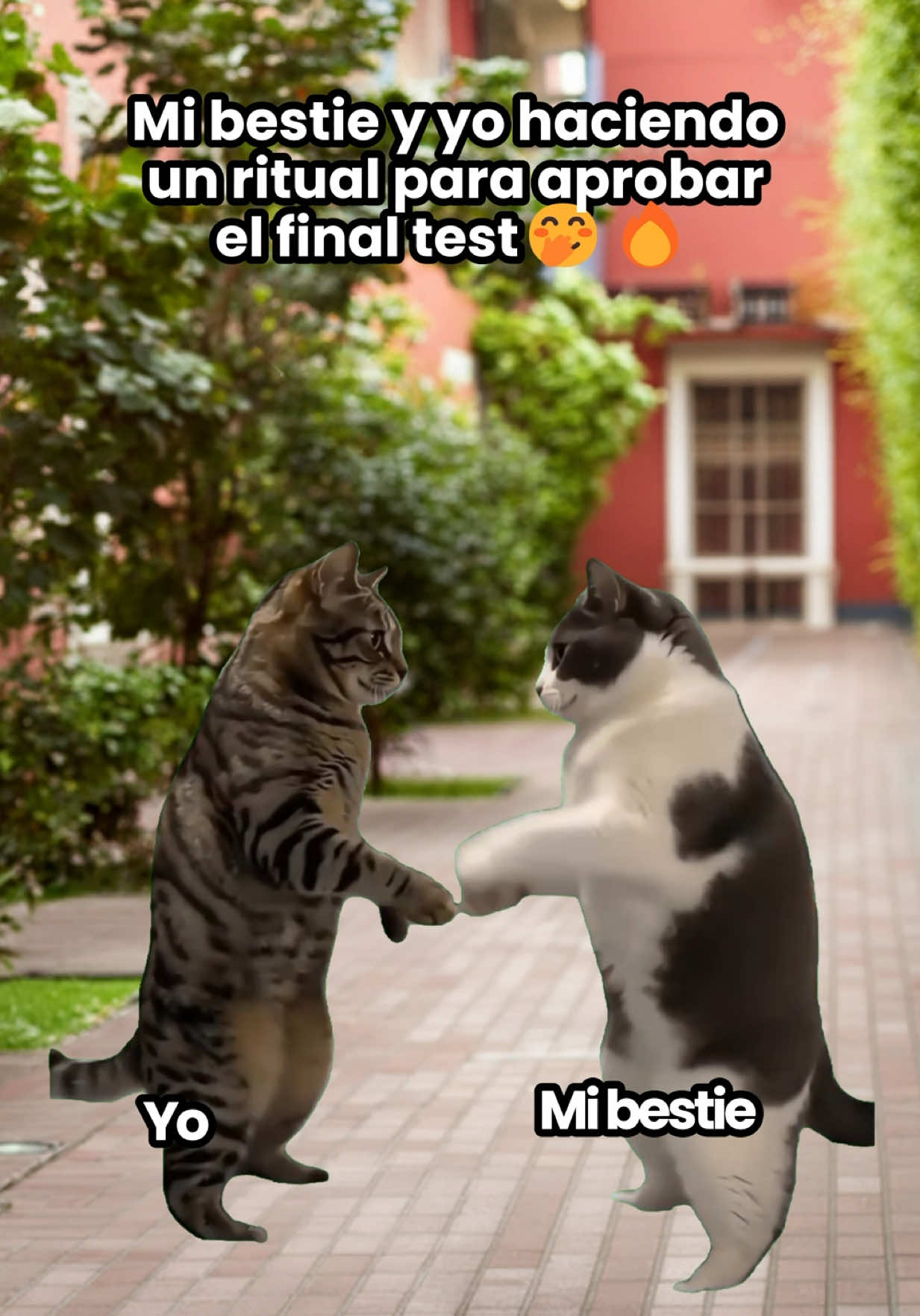 @Británico