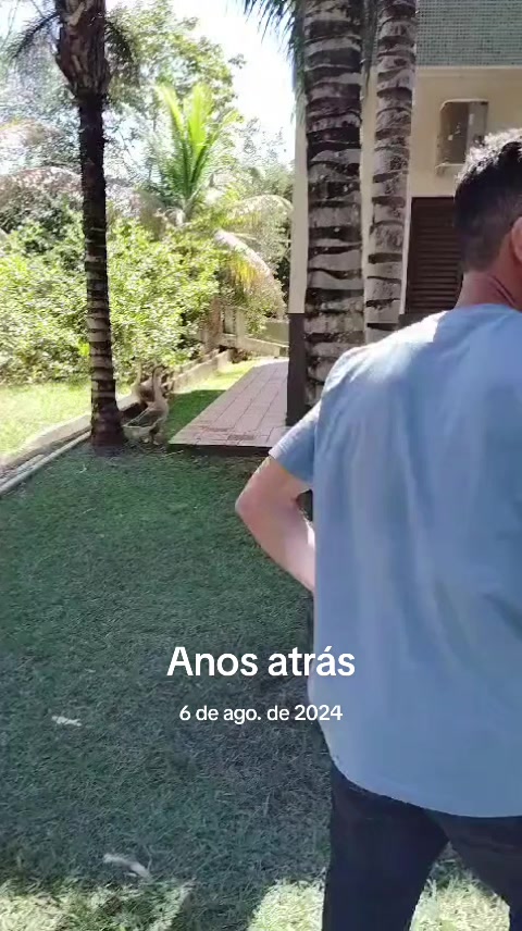 @Carlos