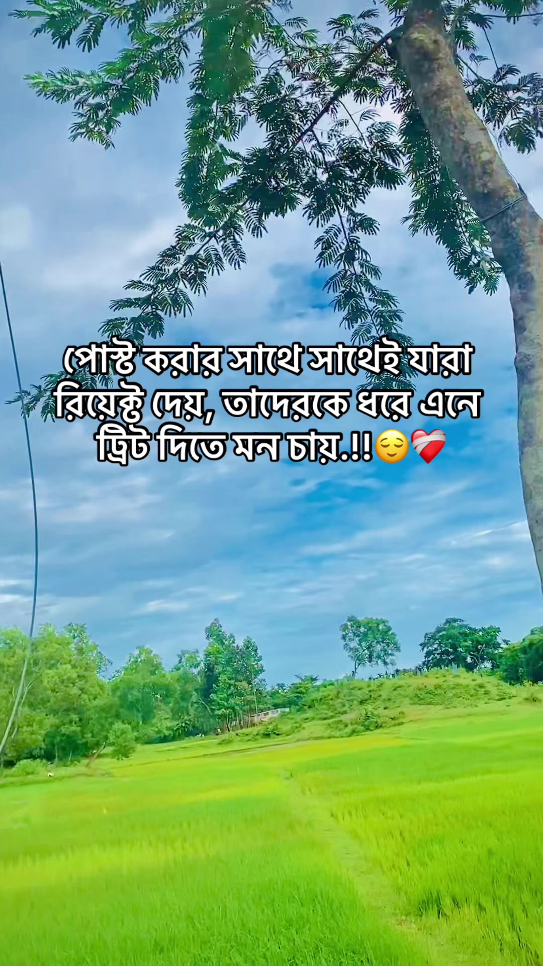 @Kilar boy đ§