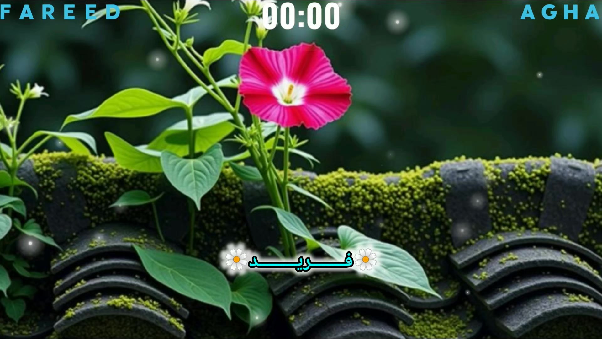 @🌼فــــــــ𝖱یـــــــــد🌼