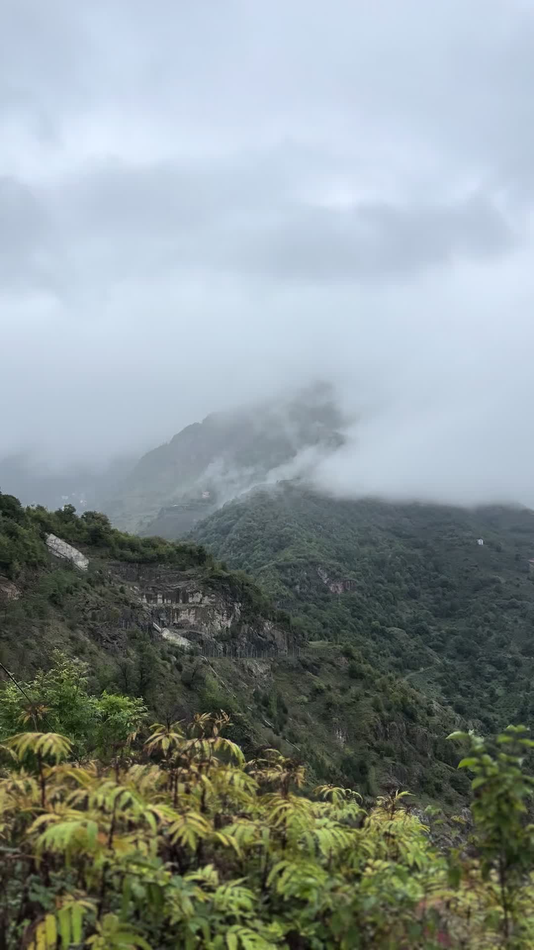 @pınar deniz