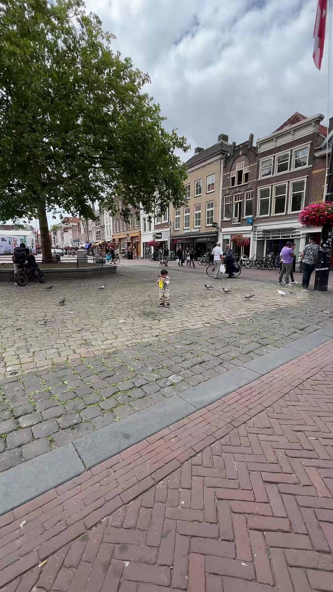 @🇸🇰/🇳🇱🌷