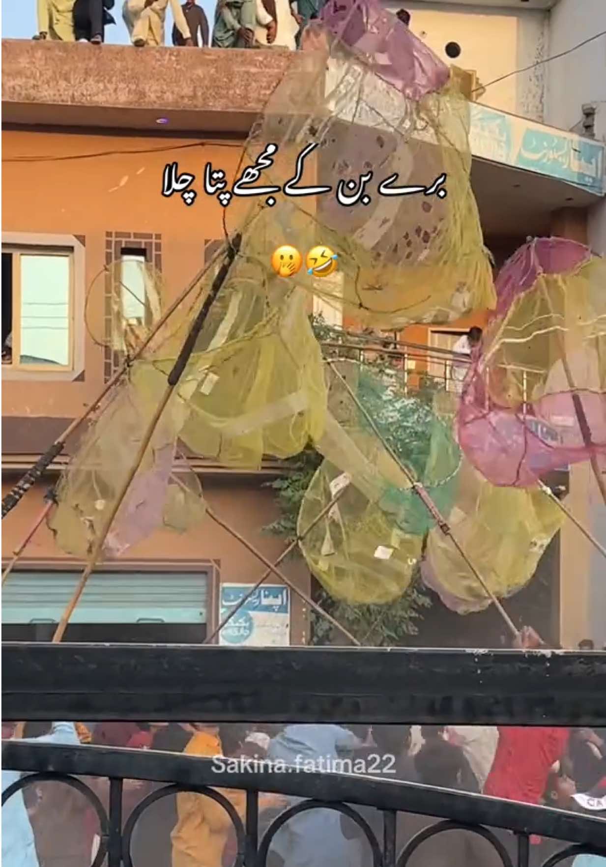 @Sakina Fatima