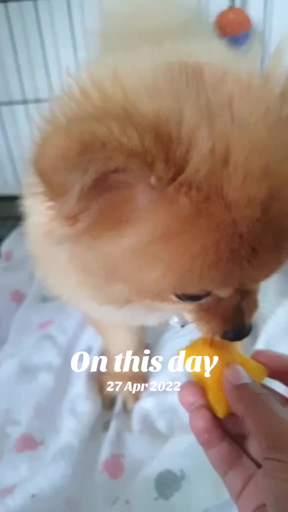 @๐๐๐ช๐๐๐๐โ๐ ๐&๐๐ฆ๐