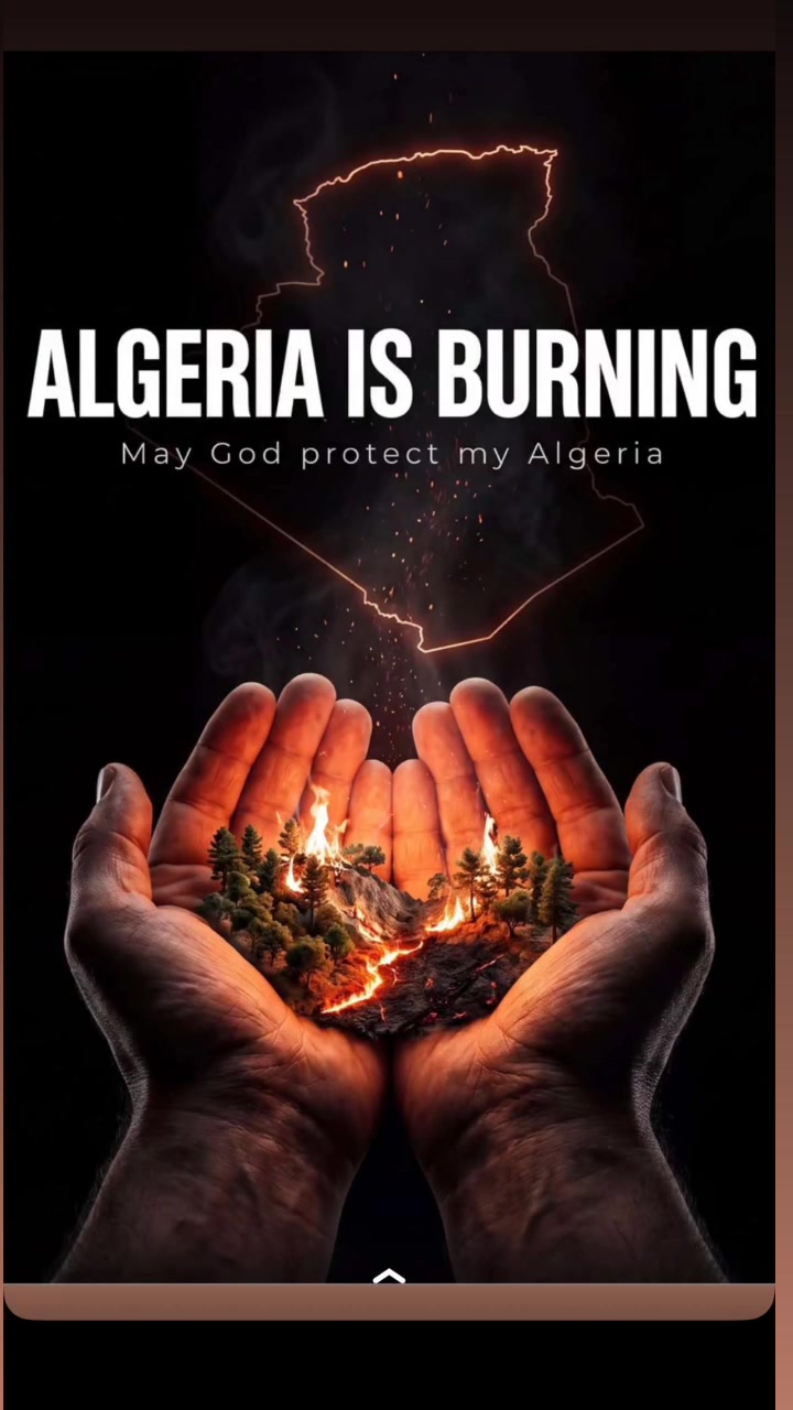 @Sarah Dz🇩🇿