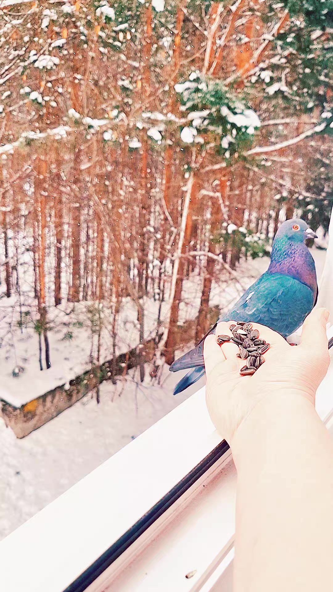 @Виктория