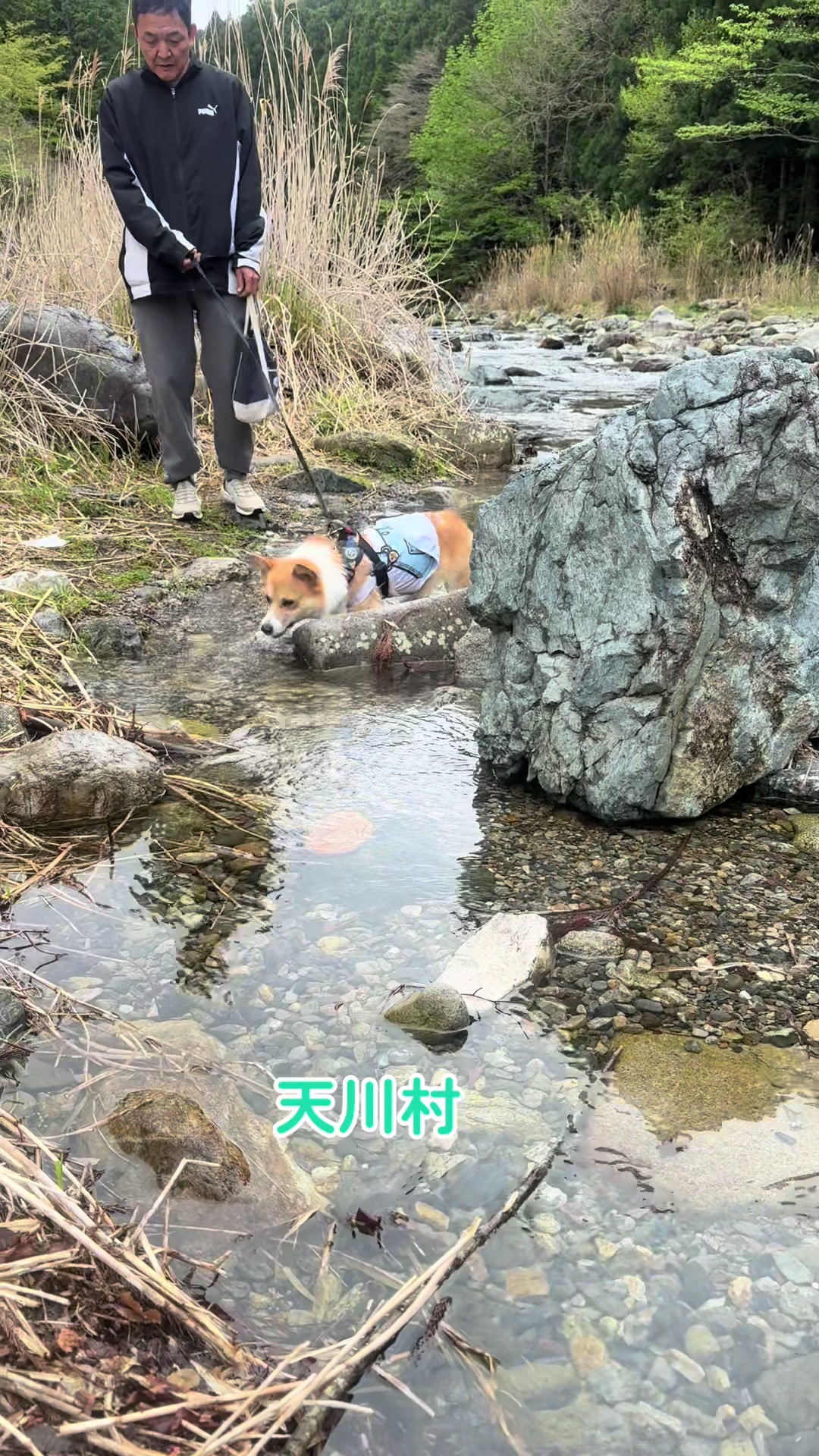 @🐾じゅんこ🐾