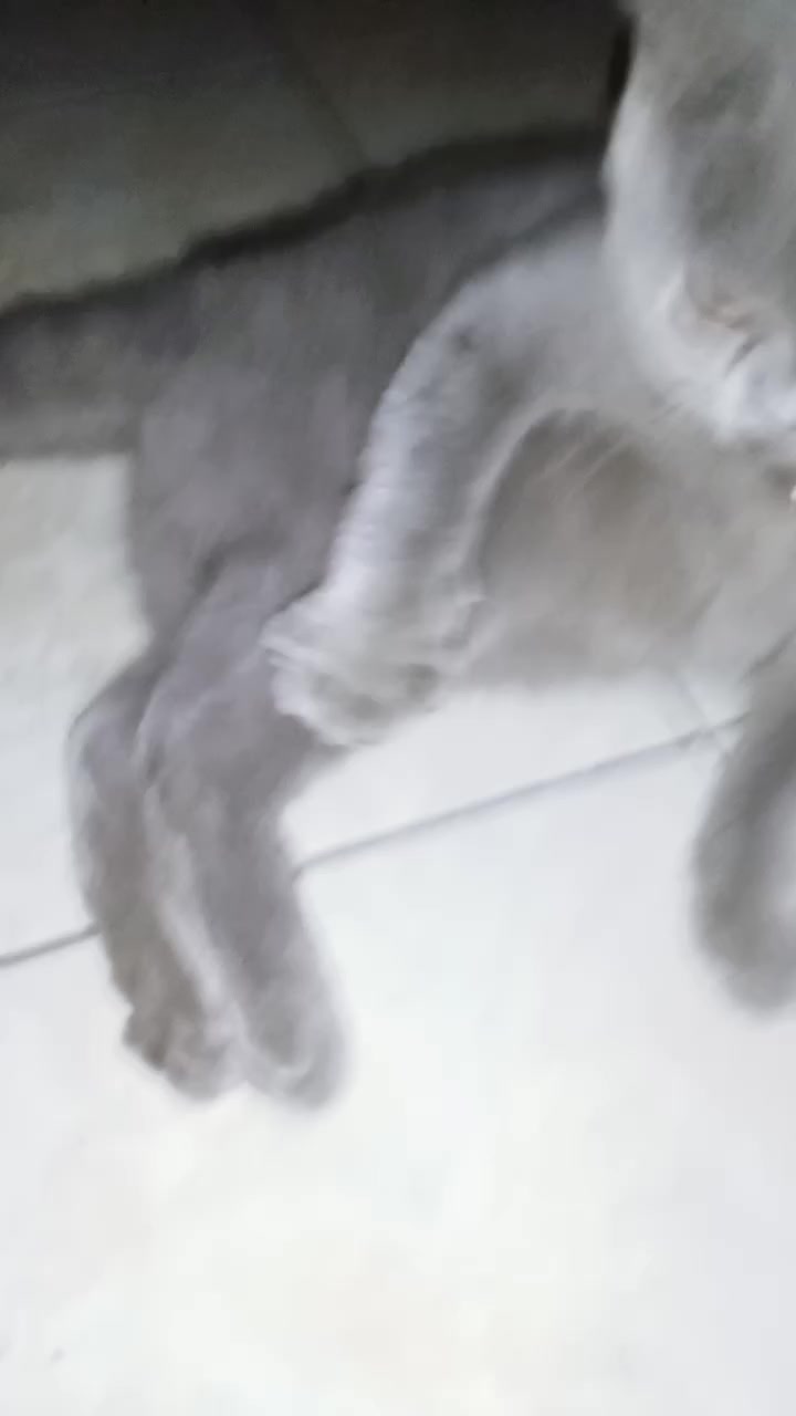 @☻m⃟omoi⃟☻