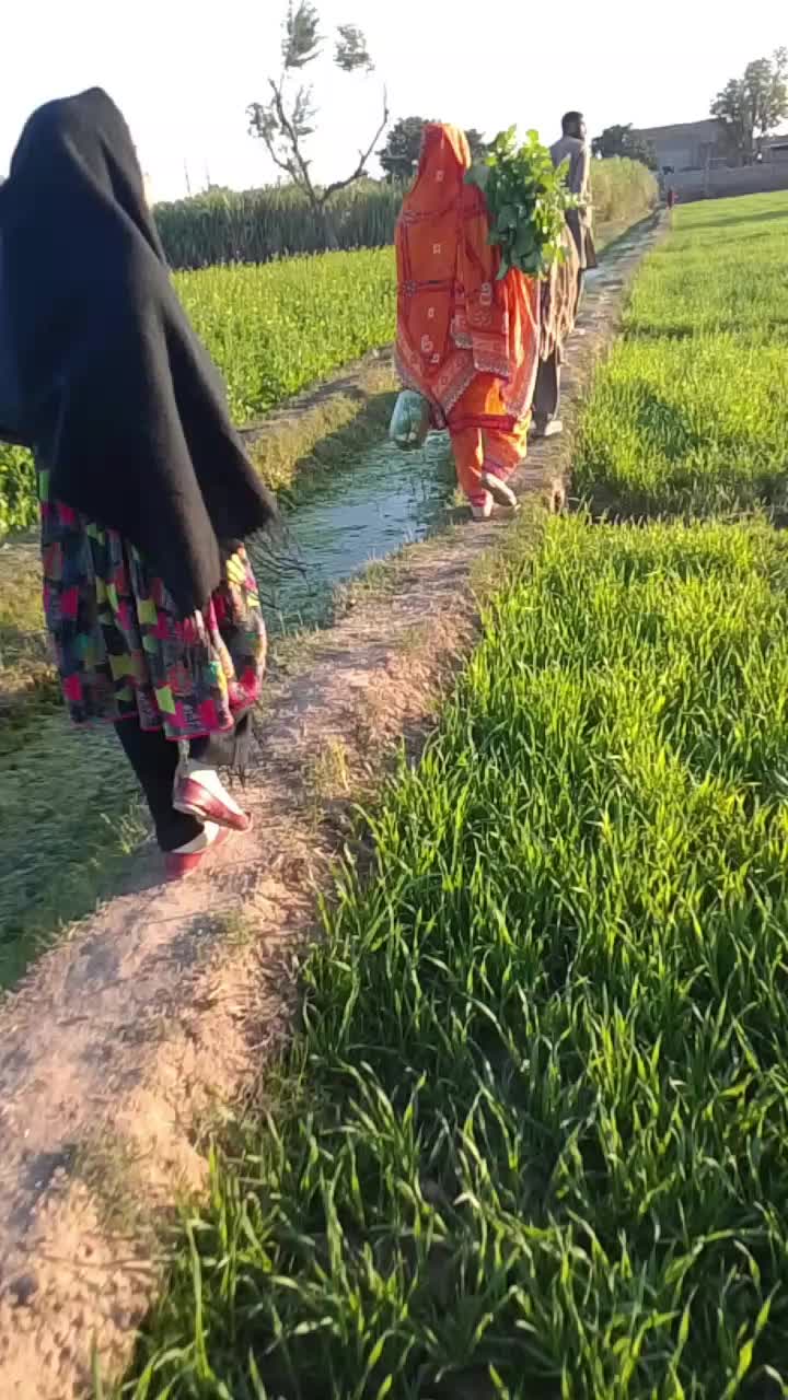 @Rani hon raja ke🤗💞