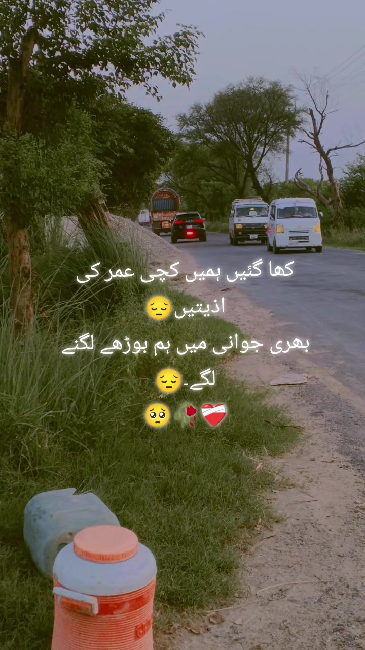 @🥺 تلاش سکون علی 💔